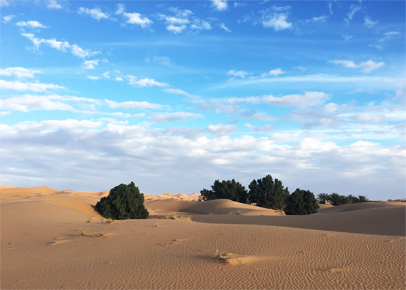 el desierto de Merzouga